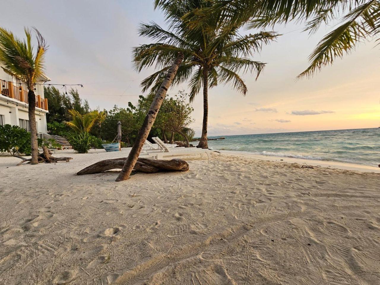 The Sunset Villa Dhiffushi Bagian luar foto