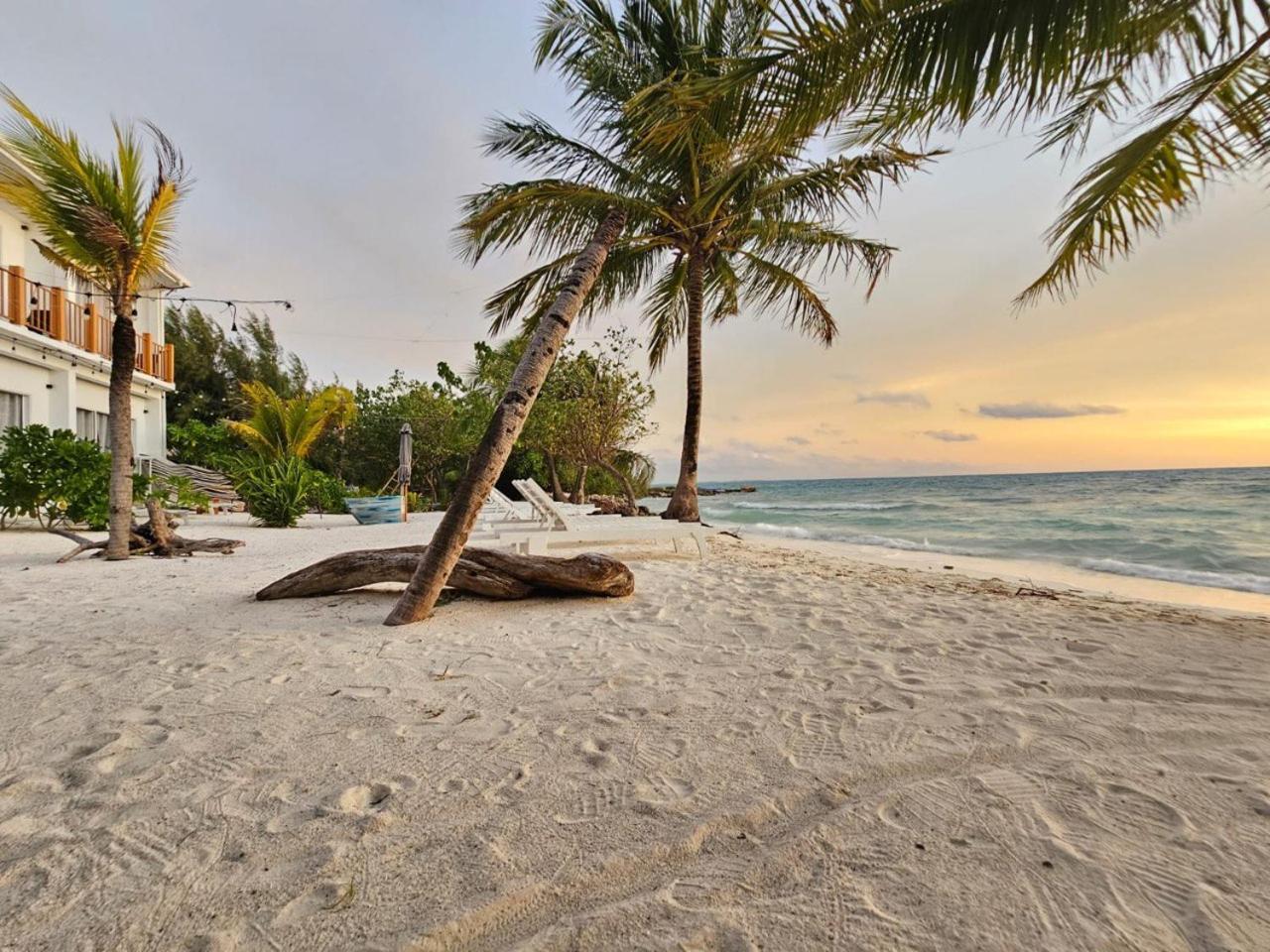 The Sunset Villa Dhiffushi Bagian luar foto