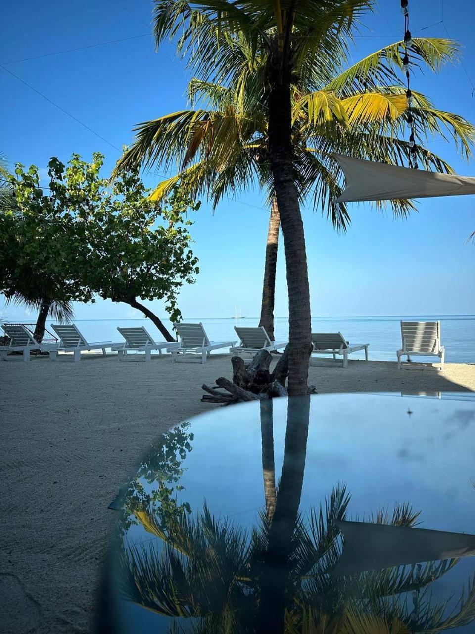 The Sunset Villa Dhiffushi Bagian luar foto